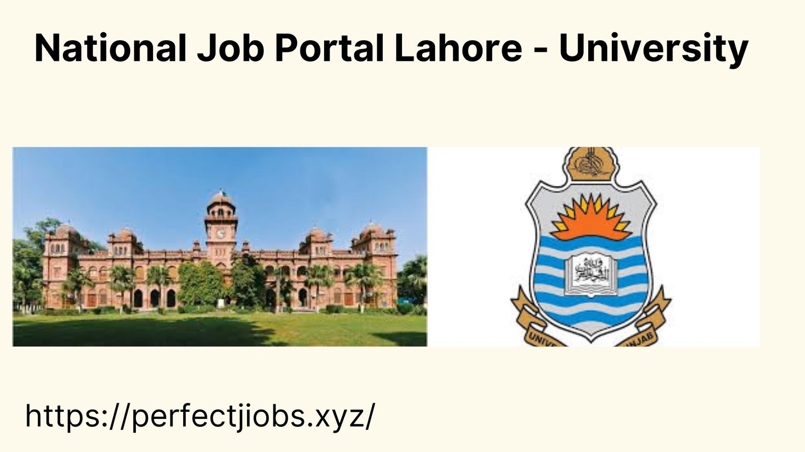 National Job Portal Lahore - University