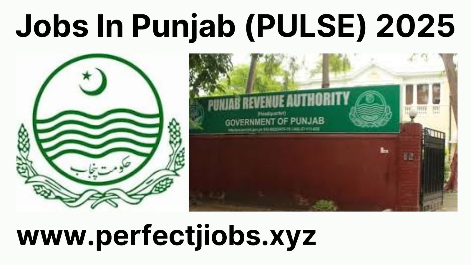 Jobs In Punjab (PULSE) 2025